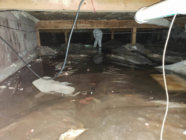 Best Basement Water Damage Restoration in Sand Ridge, NY